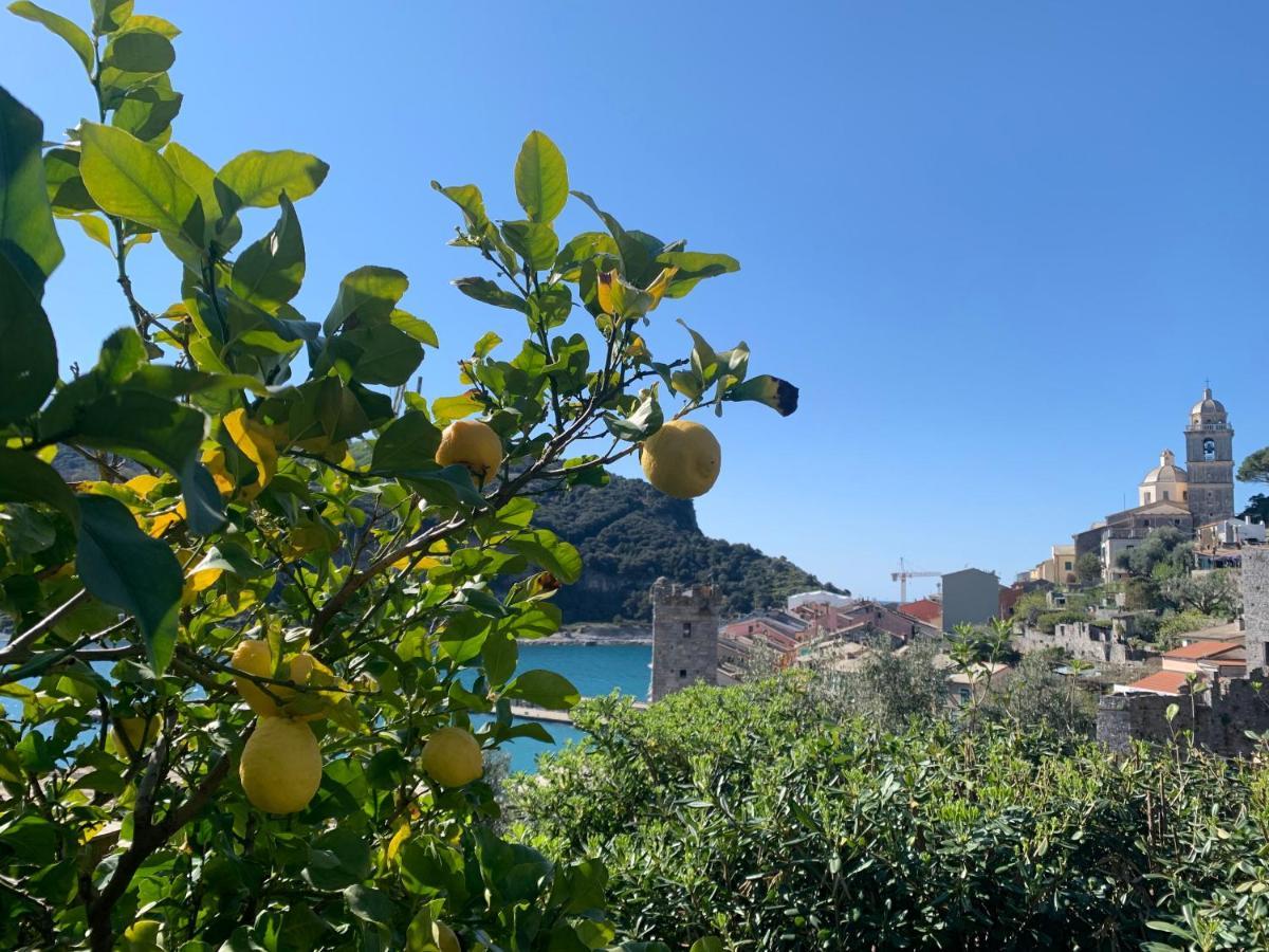 Villa Paolo Lemon Tree Porto Venere Exterior photo